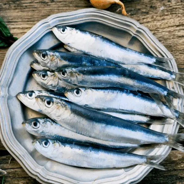 FISHITO SARDINE 150G