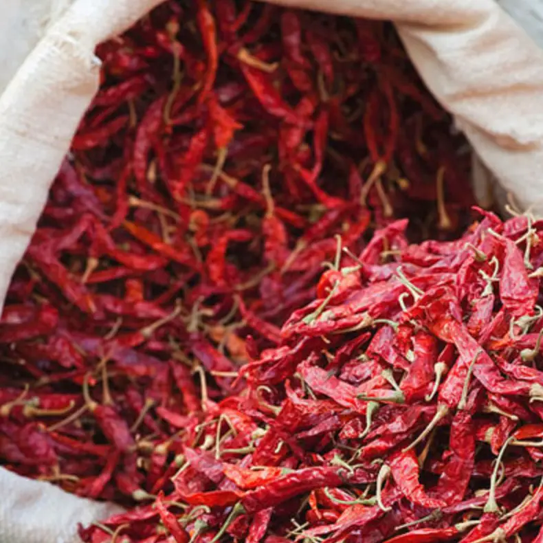 SHABROS CHILLI WHOLE WITH STEM 100G