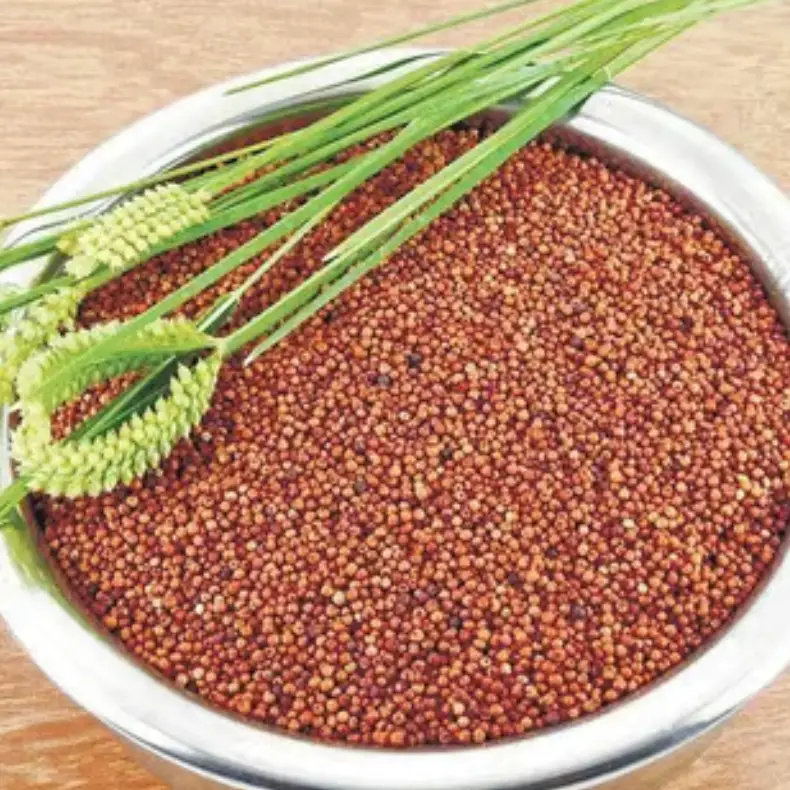 SHABROS RAGI WHOLE 400GM